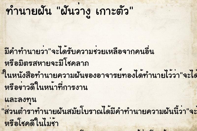 ทำนายฝันฝันว่างูเกาะตัว ทำนายฝันทำนายฝันฝันว่างูเกาะตัว